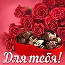 ���� ��������, ���, 47 ��� - ��������� 29 ������ 2017 � ������ ������ ��������