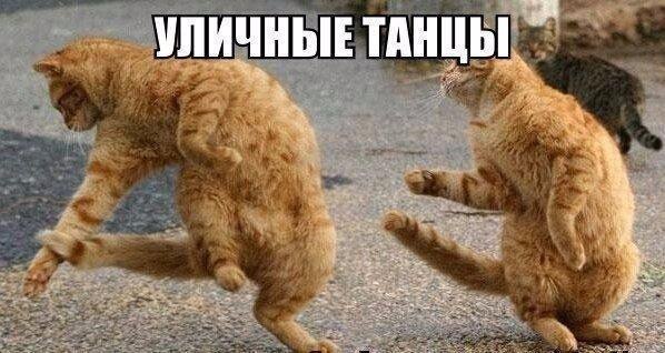 ...��������� :) - 7