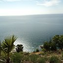 ����������� ����. 15.02.16� �� ������� ���� ����������