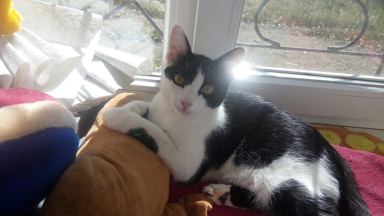 #_.         (,   ... - 4