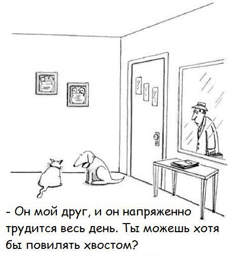  - 11  2016  13:50