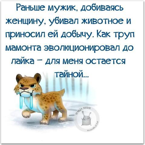  - 3  2016  13:24