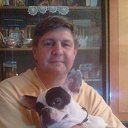 ���� �������, �������, 54 ���� - ��������� 16 ������� 2016 � ������ ���� ����������