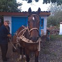 ���� ����, �������, 41 ��� - ��������� 11 �������� 2016 � ������ ���� ����������