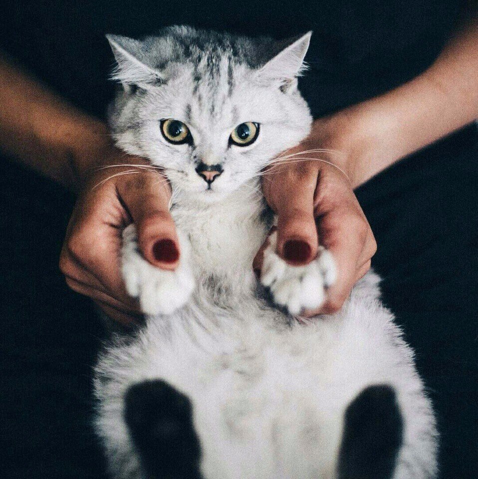  ! - 5