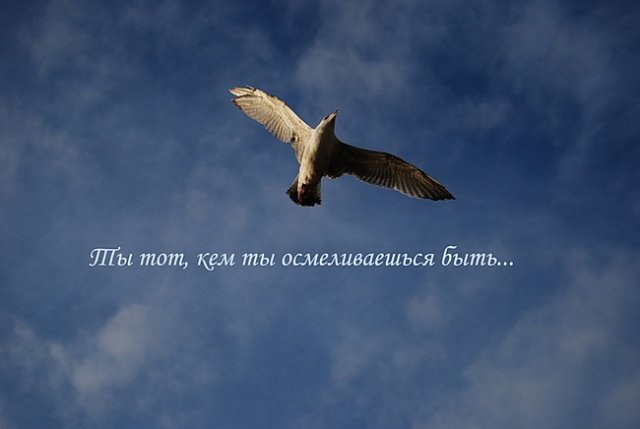 Владей собой среди толпы смятенной, Тебя клянущей за смятенье всех, Верь сам в себя, наперекор ...