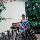 �������� �� �������� ������. ���� 2016� �� ������� ���� ����������