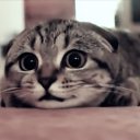 ���� ���������, �����, 42 ���� - ��������� 6 ������ 2017