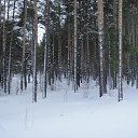  ,  -  16  2016    , 