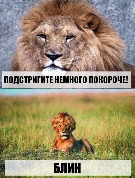    :-) - 23  2016  11:59