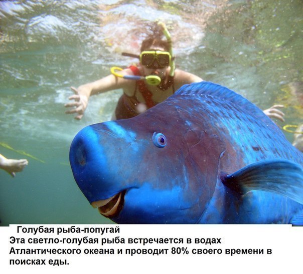      - 5