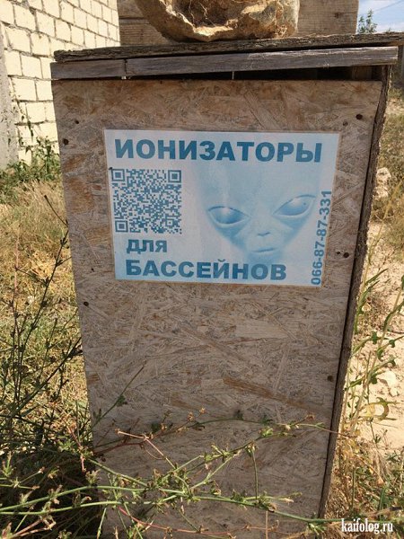 ��� ��������, ������� - ��������� ��������. ��������, � ���������� ���������� ����������. ���� �� ... - 12