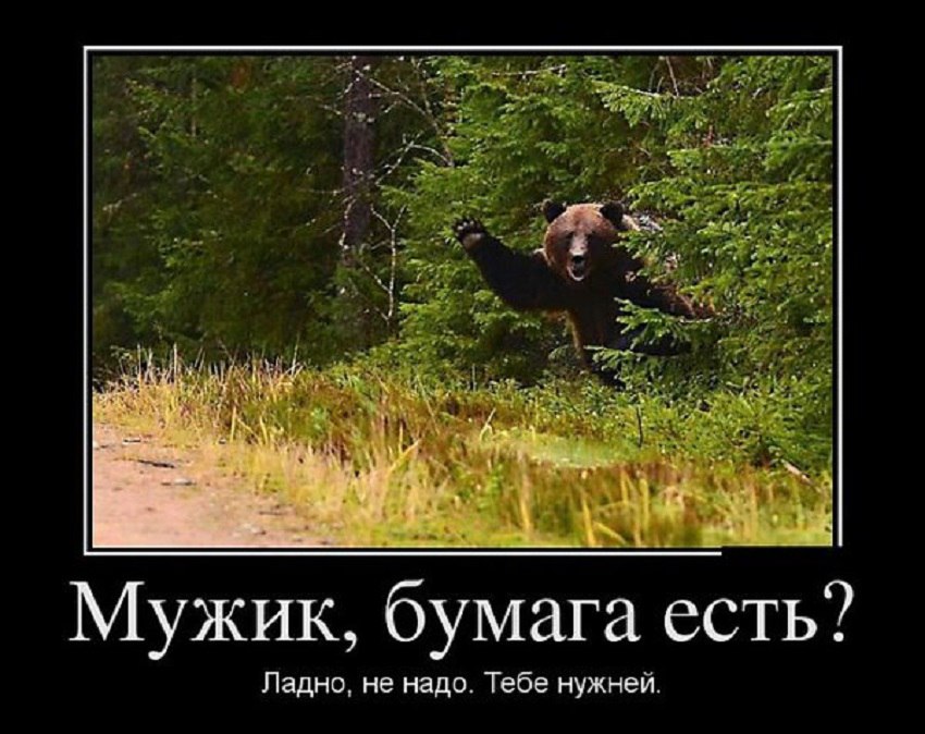 Спокойный... - 31 января 2017 в 15:11
