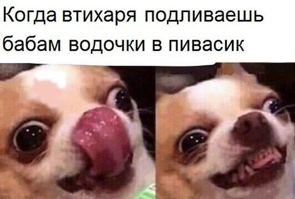  - 27  2016  16:23