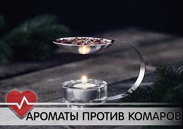 8 убийственных ароматов против комаров. Актуально, как никогда. 1. Сто граммов камфары или ...