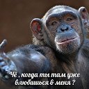 ���� ������, ������ - ��������� 5 ������� 2016 � ������ ������