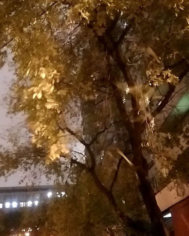 #�������� #����� #����� #����� #Halloween