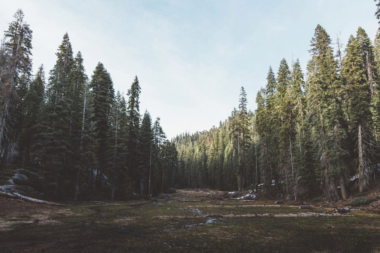 Yosemite, California - 6
