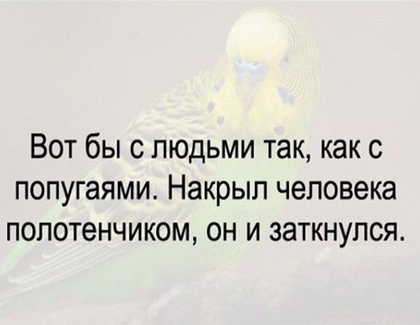   - 5  2017  17:47