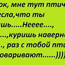 ���� �����, �����-��������� - ��������� 16 ������� 2016 � ������ ������ ��������