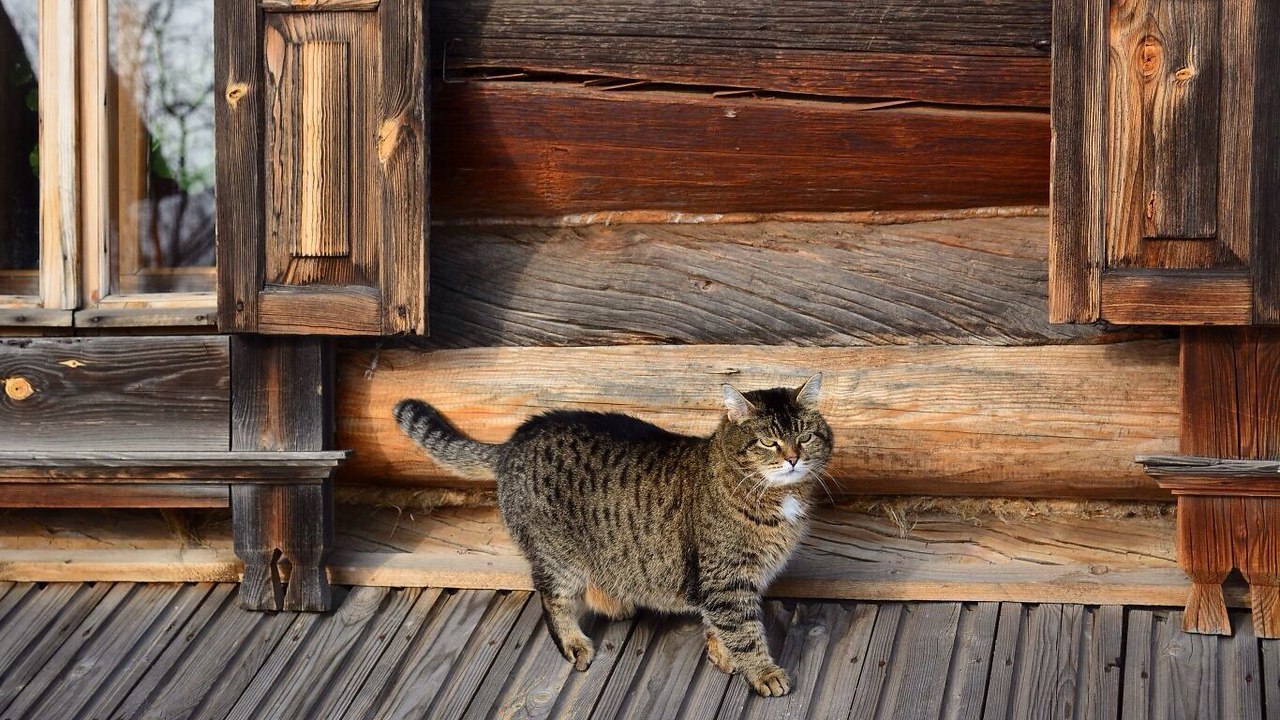     -   !     -    - !  ...