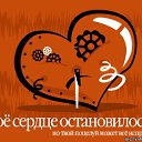  ζø√ξ(  )ζø√ξ, , 52  -  21  2017   RAZNOE