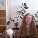 ���� ������, �������������, 43 ���� - ��������� 15 �������� 2016 � ������ ���� ����������