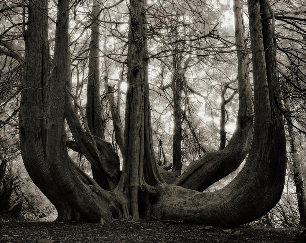   -   (Beth Moon)   ,    ... - 3