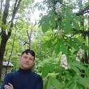  , -, 48  -  24  2016    