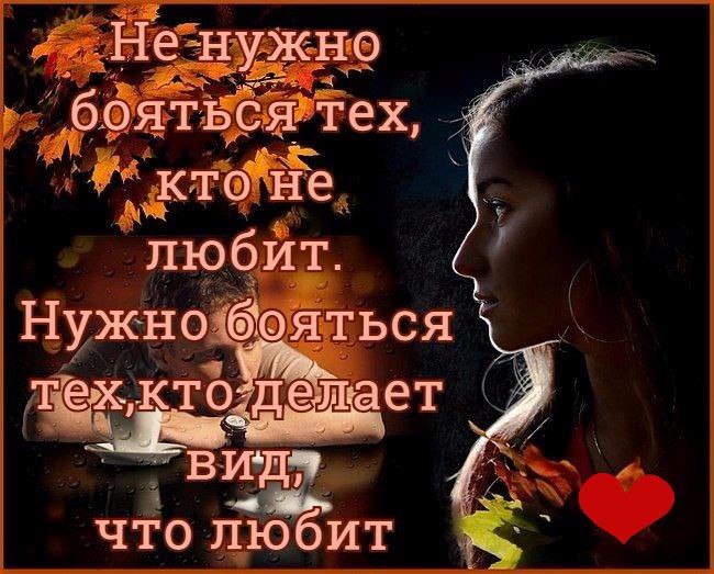   - 8  2016  19:11