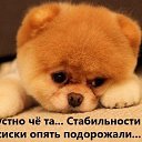 ���� ��������, �������, 64 ���� - ��������� 6 ������� 2016 � ������ ������ ��������