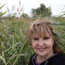 ���� �������, ������-��-���� - ��������� 25 ����� 2017 � ������ ���� ����������