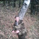  ,  , 44  -  15  2017    