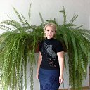 ���� ����, ����� - ��������� 5 ������� 2016 � ������ ���� ����������