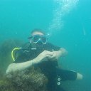 ���� ��������, ����, 56 ��� - ��������� 12 ������ 2017 � ������ ���� ����������