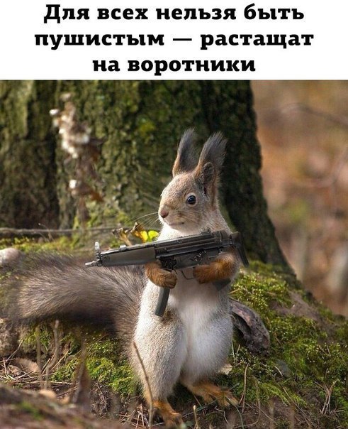    :D - 2  2017  09:07