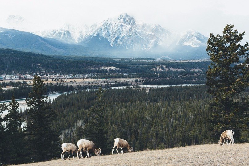 #Canada - 3