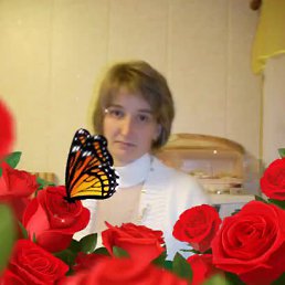 ���� �������, �����������, 44 ���� - ��������� 13 ������� 2017