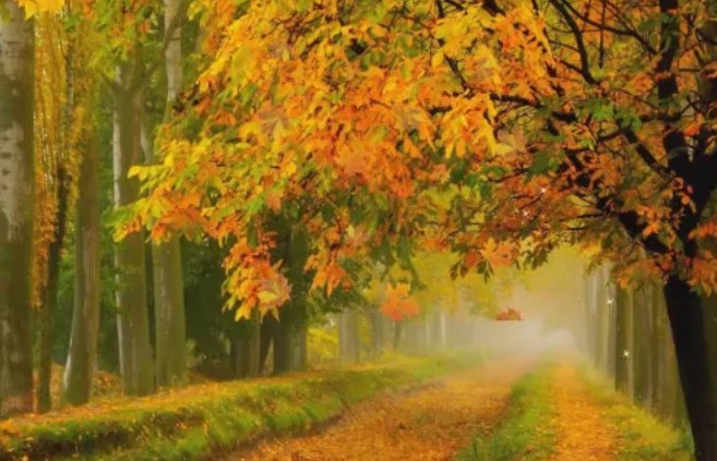  - 29  2016  08:15 - 3