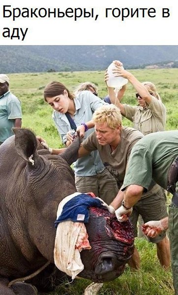   :    - 24  2017  13:58