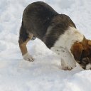 ���� �������, ������ - ��������� 23 ������� 2017 � ������ ������ ��������