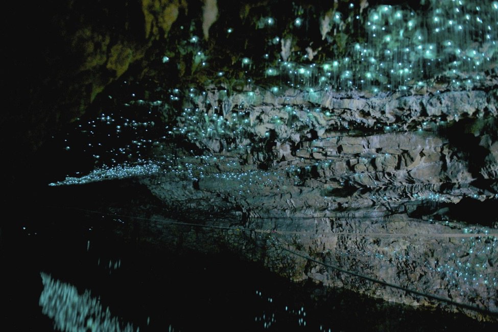 ,   .   (Waitomo Caves)     ... - 2