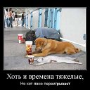 ���� ���, ����-��� - ��������� 28 �������� 2016