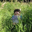 ���� ������, ����, 56 ��� - ��������� 15 ������� 2016