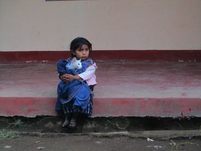 Подборка фотографии