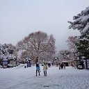  , , 60  -  3  2017     ,28.01.17.