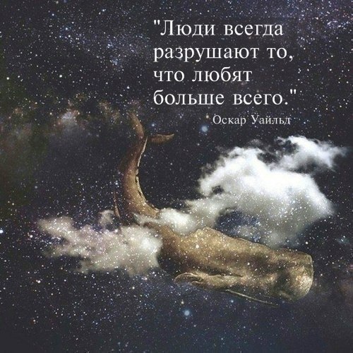 , ,  - 18  2017  22:01