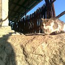 ���� ������, �������, 65 ��� - ��������� 29 ������ 2016 � ������ ������������ ������-���� 2012�