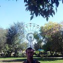  , , 42  -  1  2016    