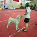 ���� ����, �������, 55 ��� - ��������� 13 ������� 2017 � ������ ���� �����